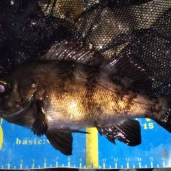 ライトゲームでソゲ