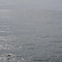 ｾｯﾄｱｯﾊﾟｰ4