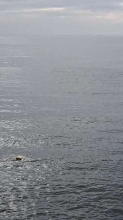 ｾｯﾄｱｯﾊﾟｰ4