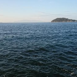 セットアッパー5