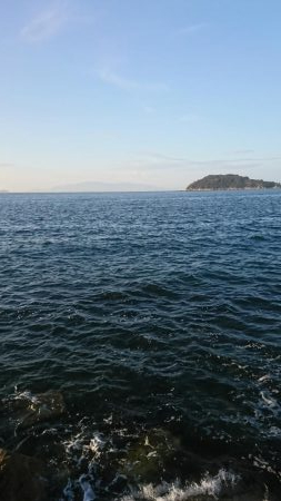 セットアッパー5