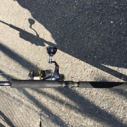 ふら~とフラットフィッシュ