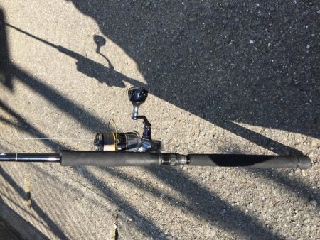 ふら~とフラットフィッシュ