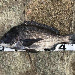 イチノ兄弟、釣果！