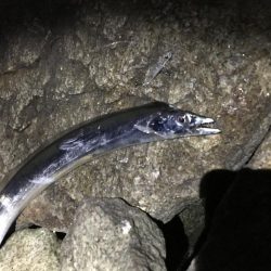 なぜ休みはいつも風が強いのさ