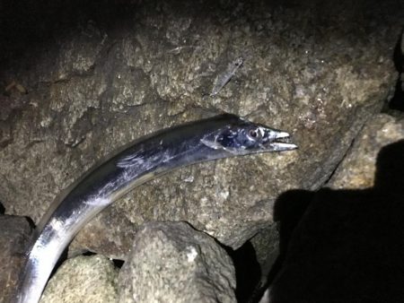 なぜ休みはいつも風が強いのさ