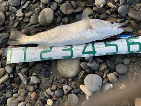 サイズは小さいけど(^^)