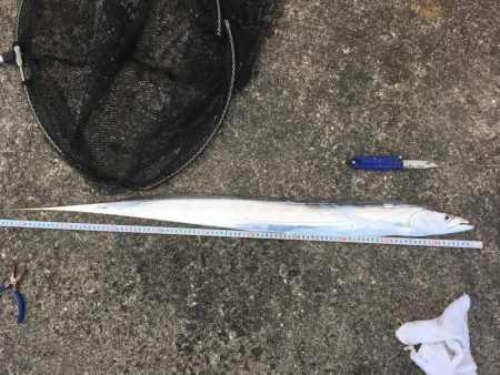 この時期とは思えない爆釣