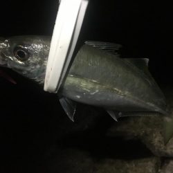 年末調整２日目！