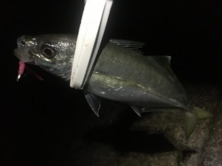 年末調整２日目！