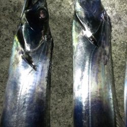 まだまだイケる