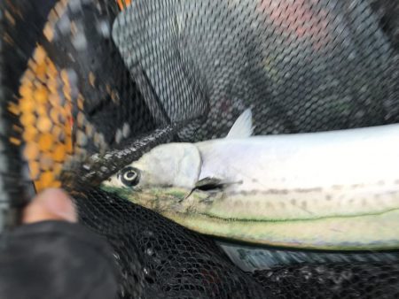 今年最後のカヤックフィッシング！？