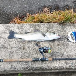 ウェーディング