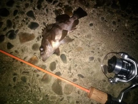 ジグ単でメバリング