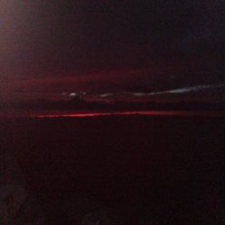 マズメにさくっと