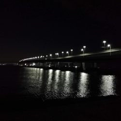 タチウオなんとか1本ゲット，しかし渋い！　