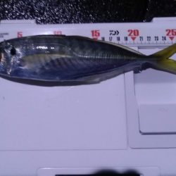 ディープアジング