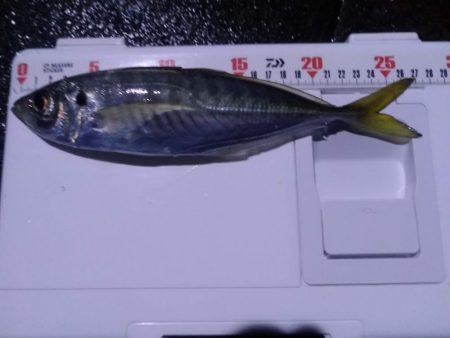 ディープアジング