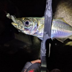 時合いにトラブル