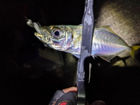 時合いにトラブル