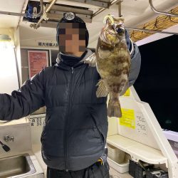 ロックフィッシュショート便❗️