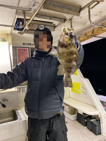 ロックフィッシュショート便❗️