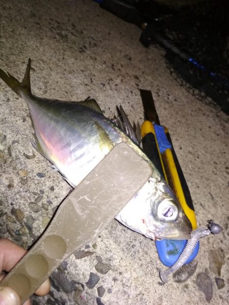 夜ハマチ泣き尺めばる