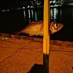 仕事終わりに‼️