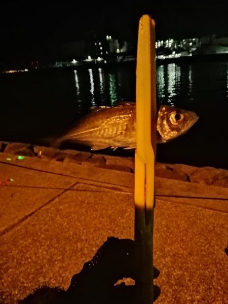 仕事終わりに‼️…