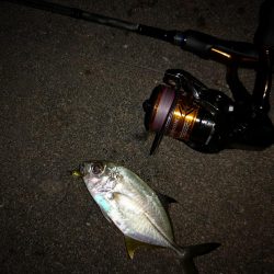 ナイト、マイクロジギング