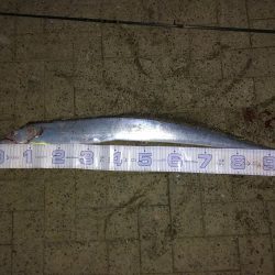 最後にドラゴンが