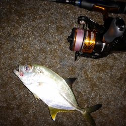 ナイトワームでメッキ釣り