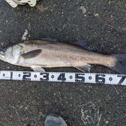 ショートでサイズアップ