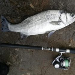 釣り納めでサイズアップ