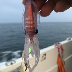 タイラバで大鯛!