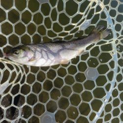 東山湖忘年釣行