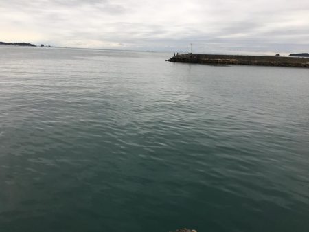 ヘダイ3匹(最大31㎝)、ボラ2匹(最大55㎝)、ガシラ1匹