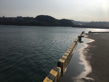 コアジ5匹のみ　強風　波高