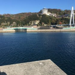 良型アジ（25~6㎝）4匹、ベラ3匹、良型ガシラ1匹