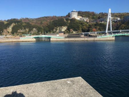 良型アジ（25~6㎝）4匹、ベラ3匹、良型ガシラ1匹