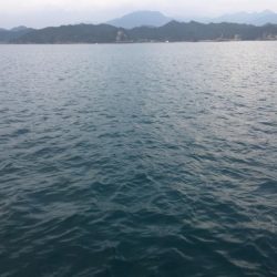 サビキにイガミ