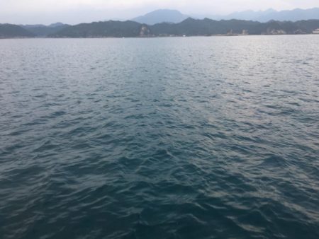 サビキにイガミ