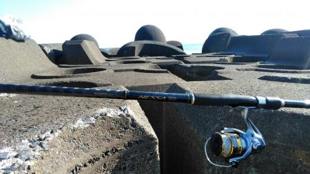 ワラサがガツン！