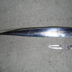 激渋でもメーター超