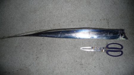 激渋でもメーター超