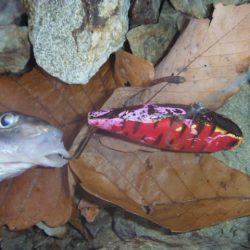 バイブレーションを