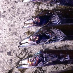 まあまあサイズ