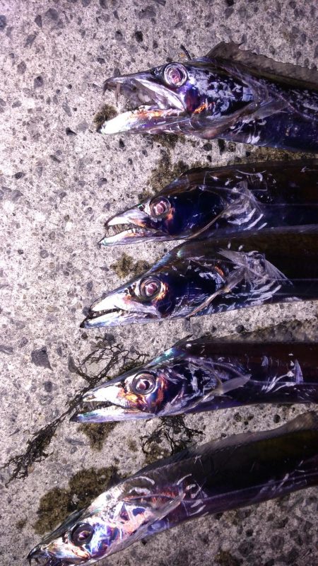 まあまあサイズ