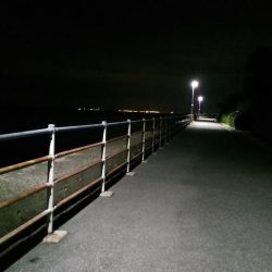 谷川漁港ゴロタ周辺を調査しました。