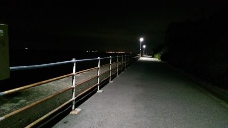 谷川漁港ゴロタ周辺を調査しました。